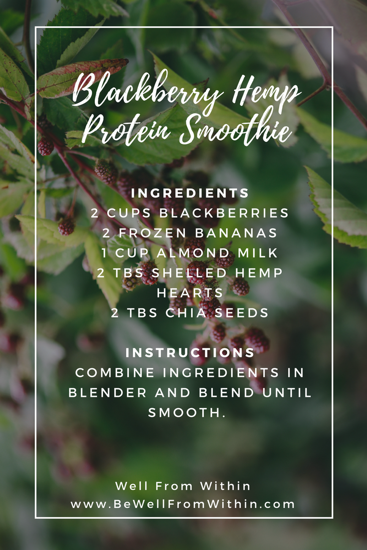 Blackberry Hemp Protein Smoothie