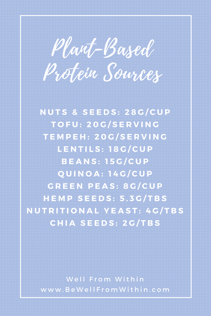 Plant-Based Protein Sources