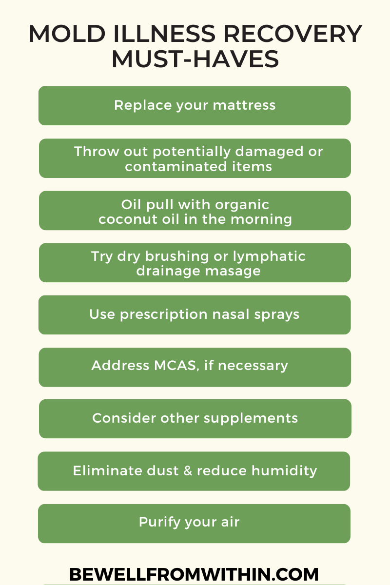 Mold Illness Recovery Must-Haves